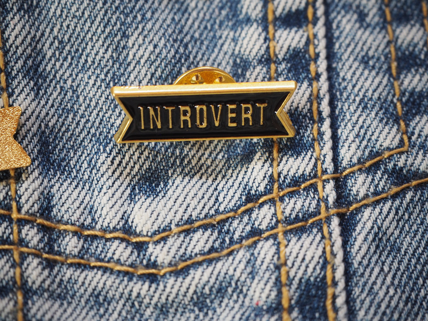 Introvert pin