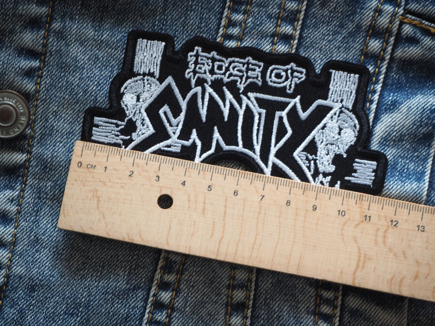 EDGE OF SANlTY Patch