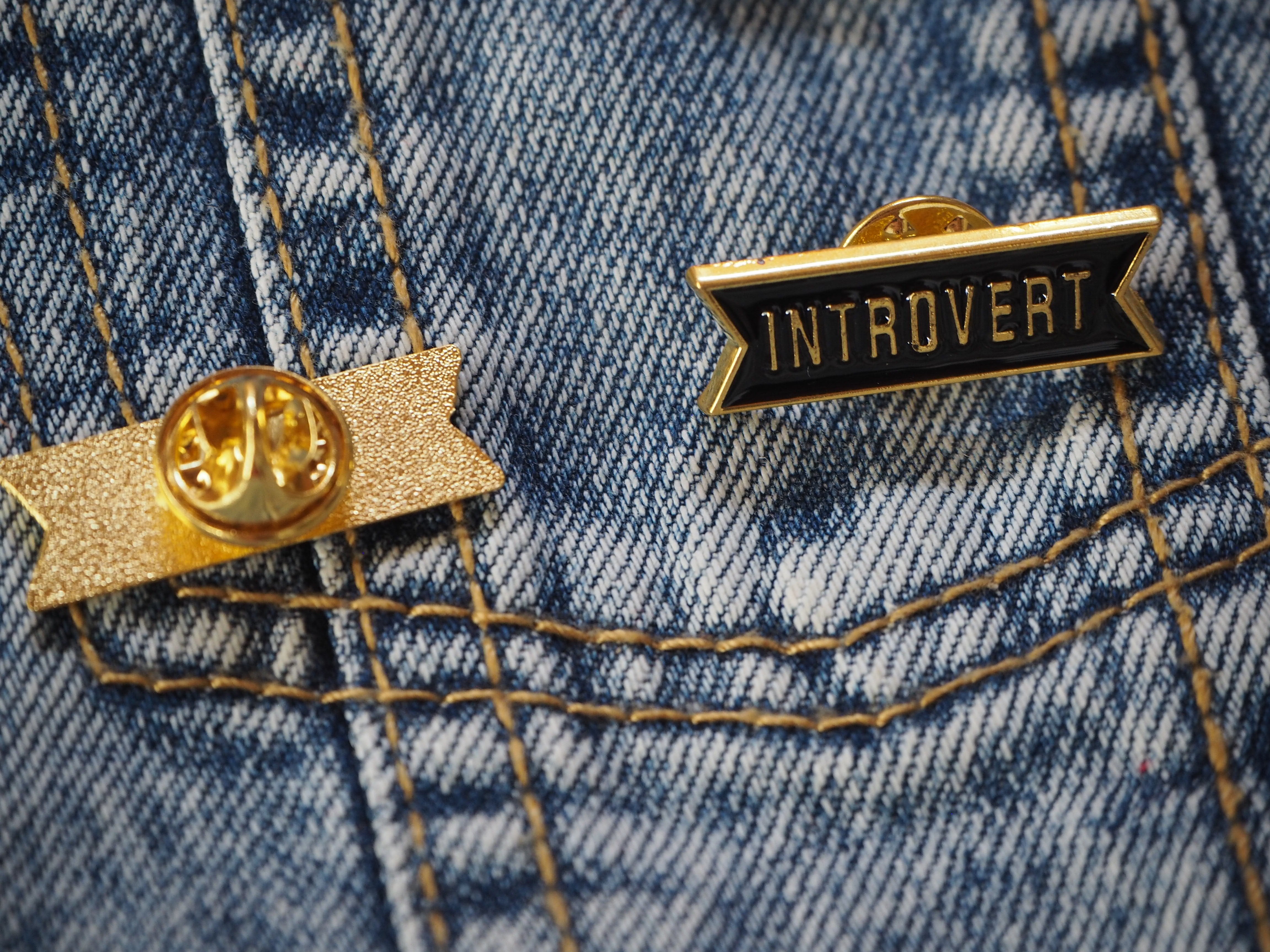 Introvert pin – IngridPatches